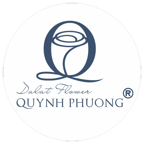 quynh phuong dalat